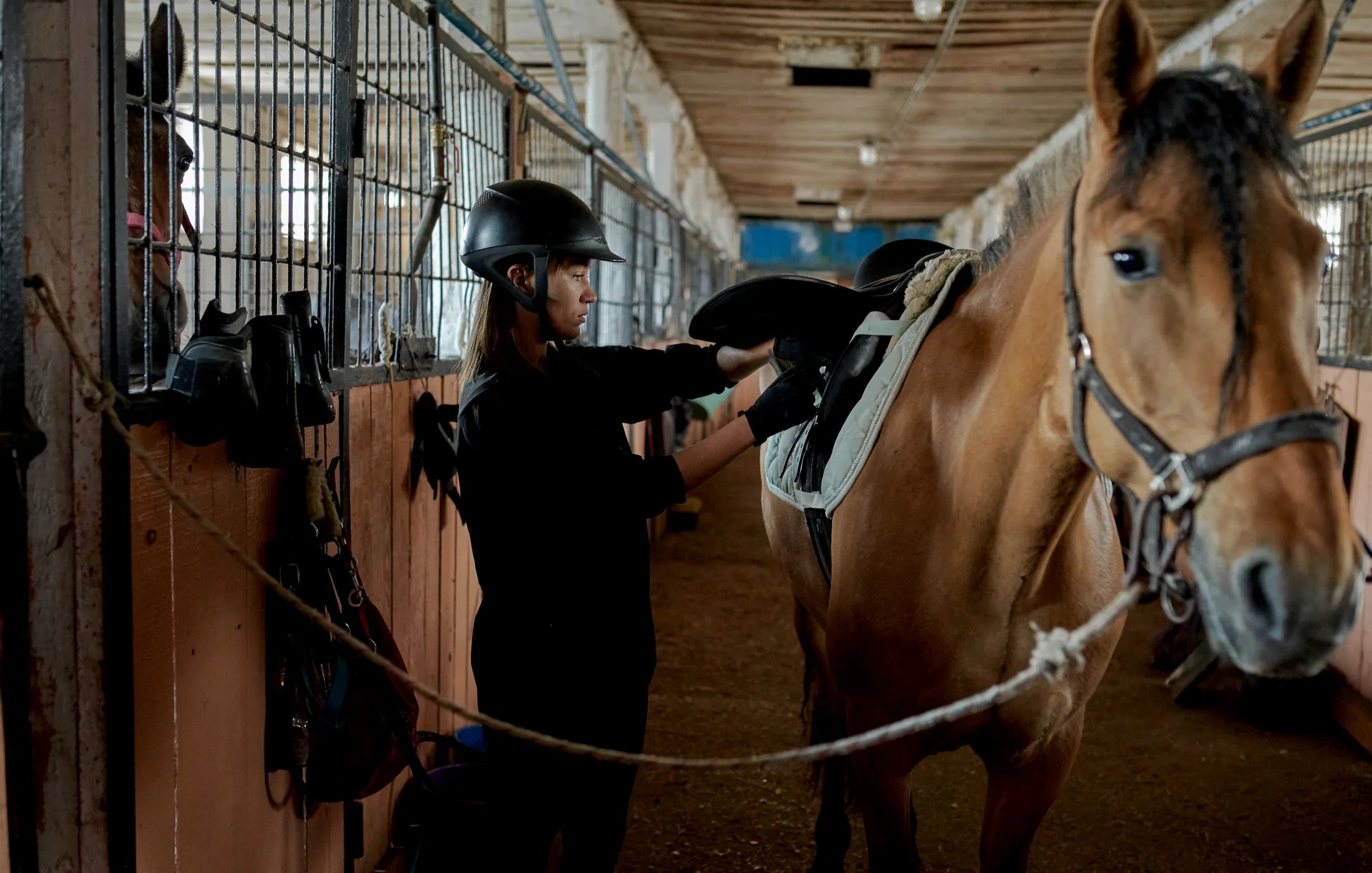 Polos & hauts techniques